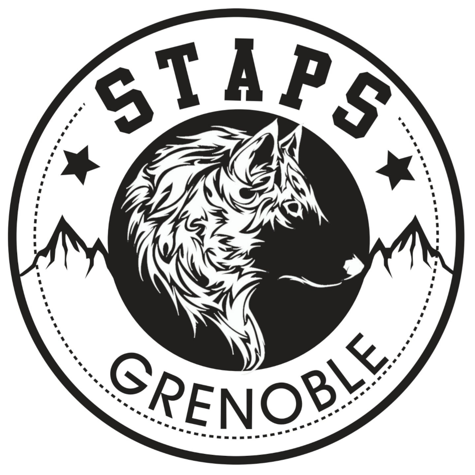 logo staps